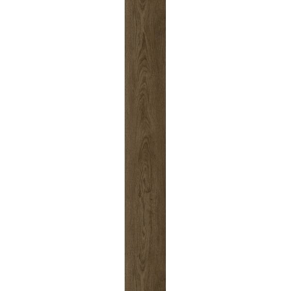 Black Walnut